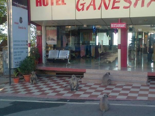 Hotel Ganesha Inn Tapovan Extérieur photo